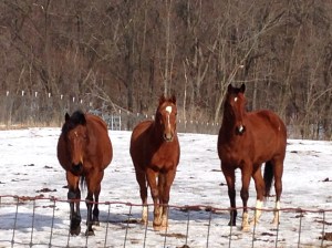 Hey look.  Blessings!