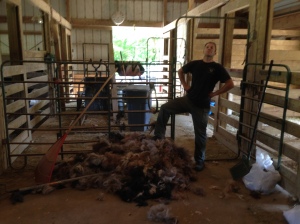 Junk wool has been conquered.