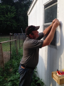 Securing a window that he identified as a fatal flaw in the safety features of the coop.
