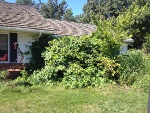 The house before Jeremiah started his work on it.