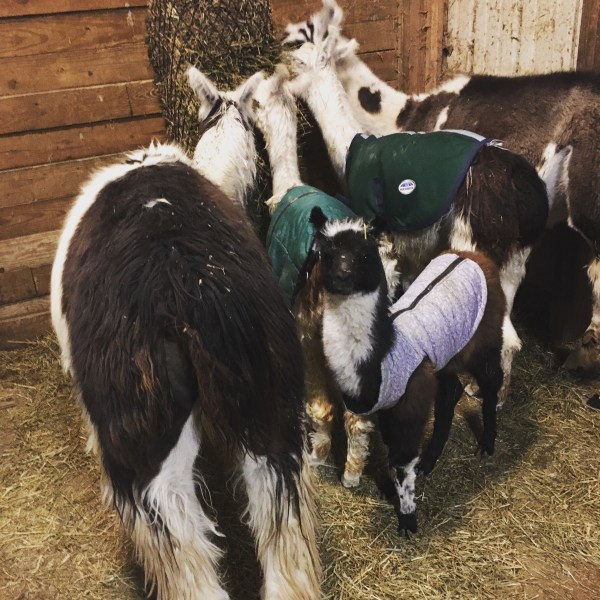 08cd8975-3c7b-4fbb-aad0-f799730eb41e